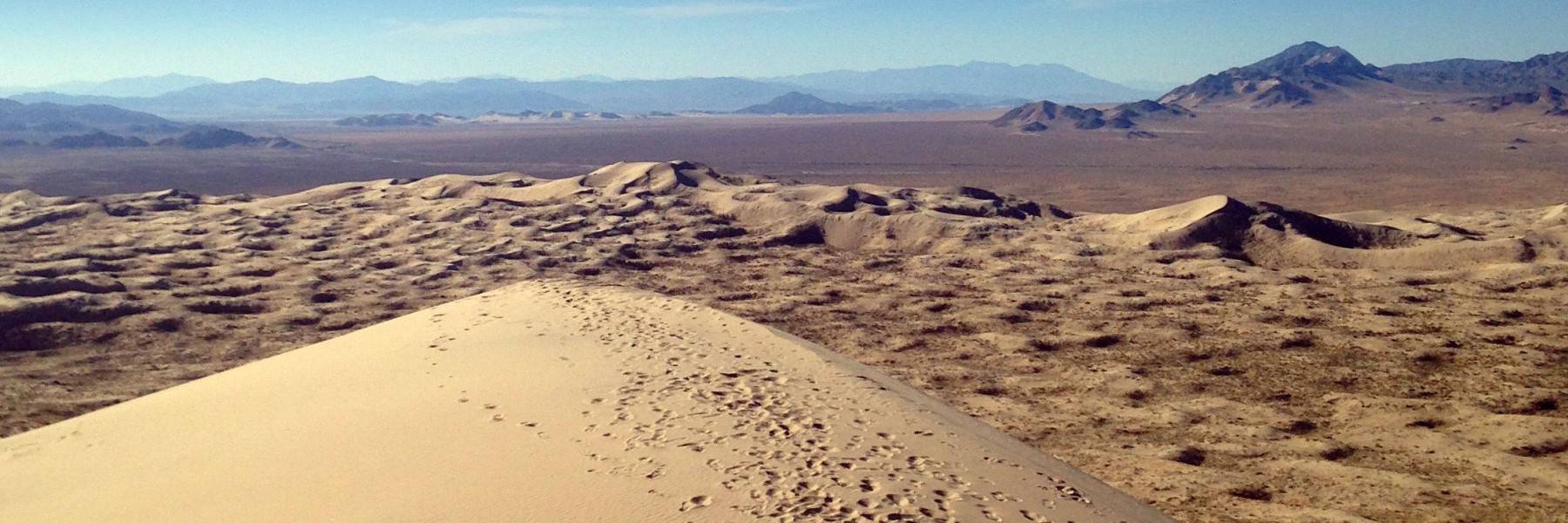 Mojave Desert. Credit: Heili Lowman
