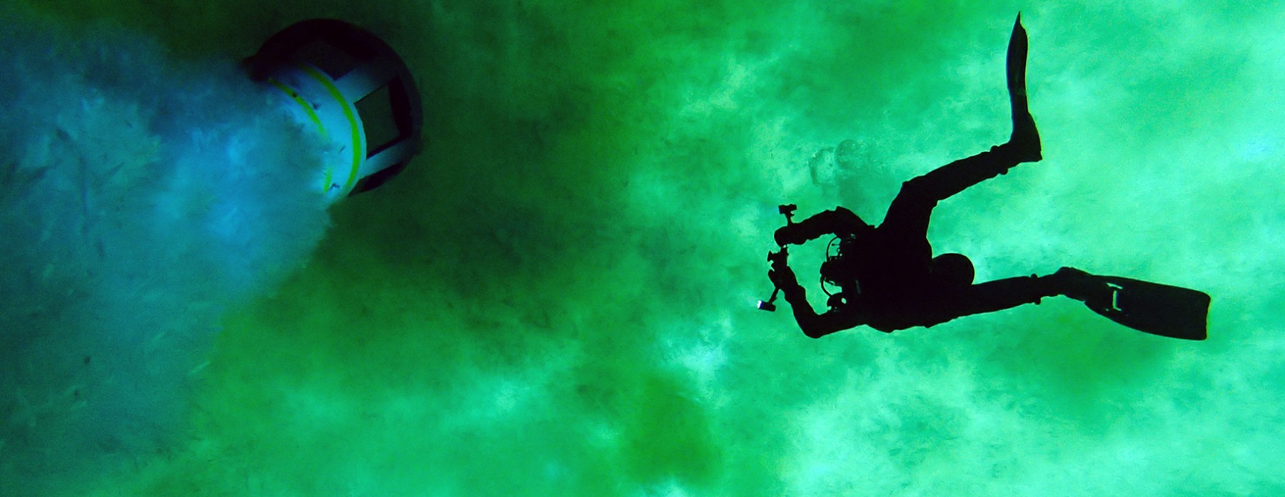 Diving under the sea ice. Credit: Umihiko-Hoshijima