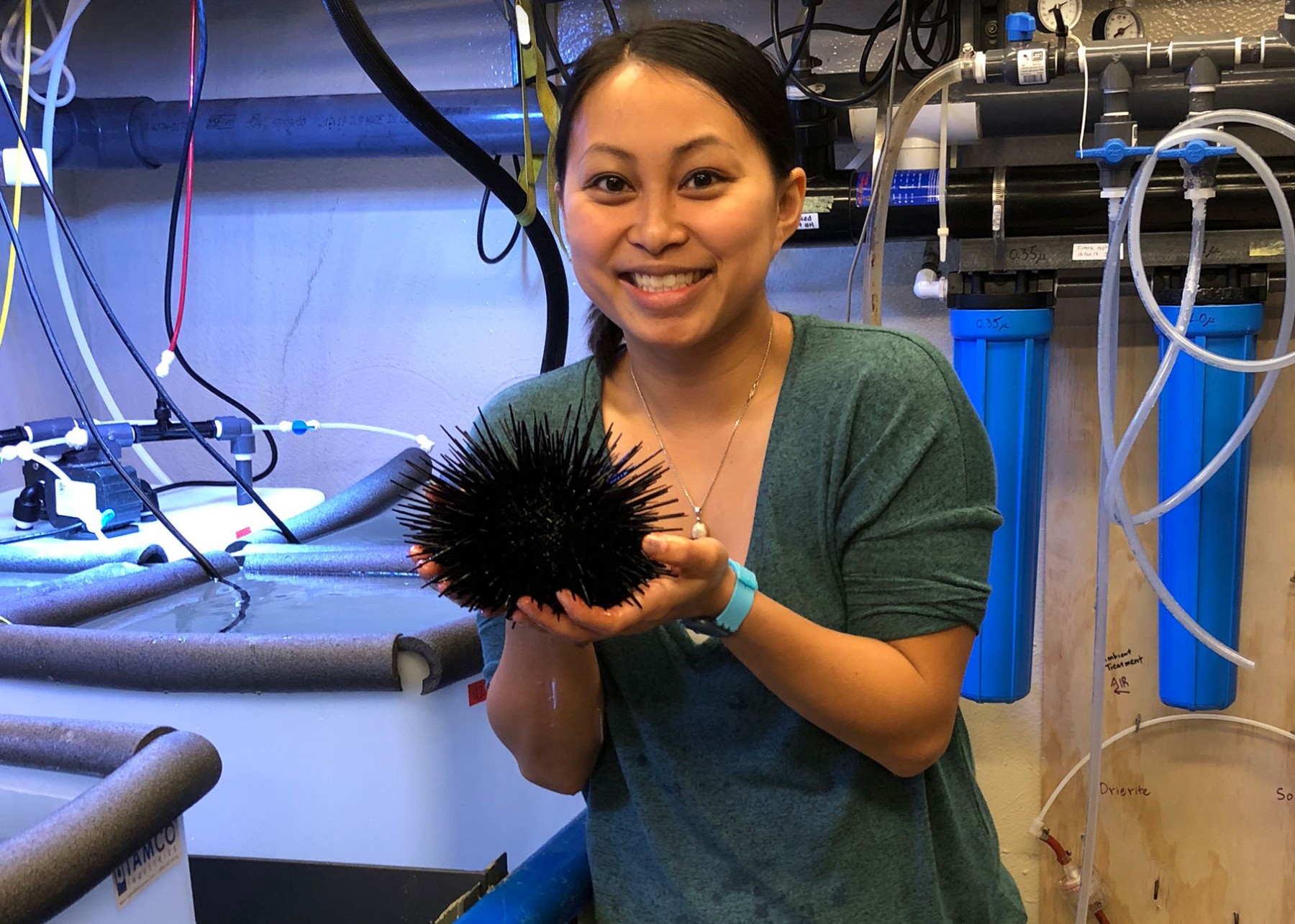 Juliet Wong with red urchin. Credit: Logan Kozal