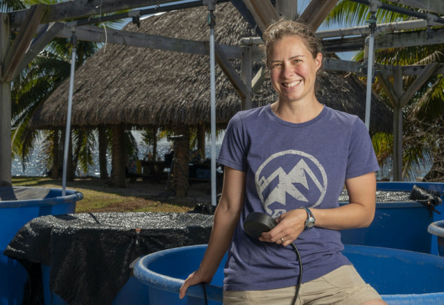 Erika Eliason at UC's Gump Research Station in Mo'orea. Credit: Jeff Liang