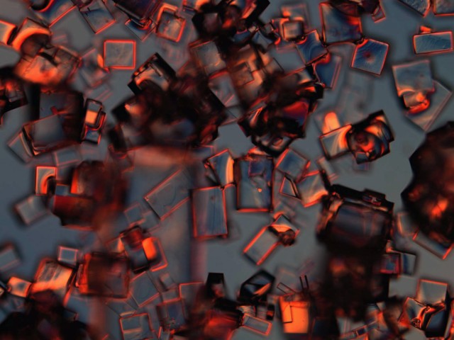 NRI / MCDB Microscopy Facility
