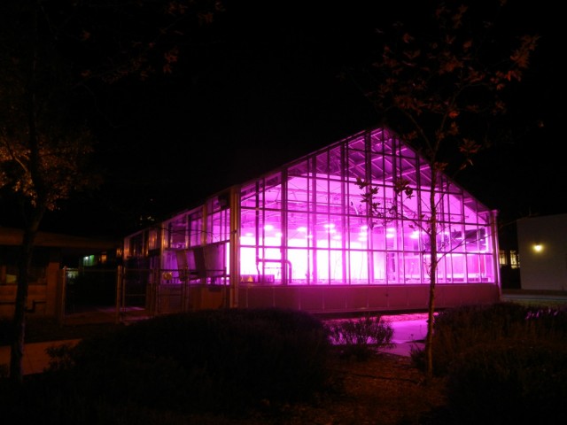 A Better, Greener World - UCSB scientists conduct top-caliber botanical research in cutting-edge biology greenhouses