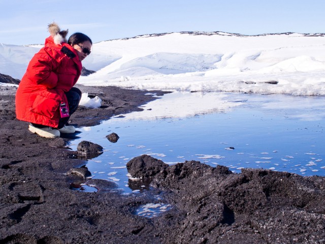 Juliet Wong looking for planktonic swimming snails called pteropods near Cape Royds, Antarctica. Credit: Umihiko Hoshijima