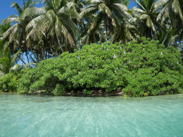 Palmyra Atoll lagoon flats Credit: Ana Sofía Guerra