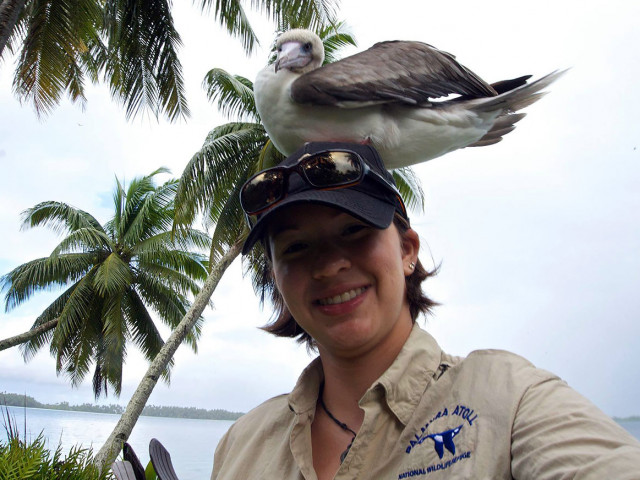 Red-footed booby assisting with fieldwork. Credit: Ana Sofía Guerra