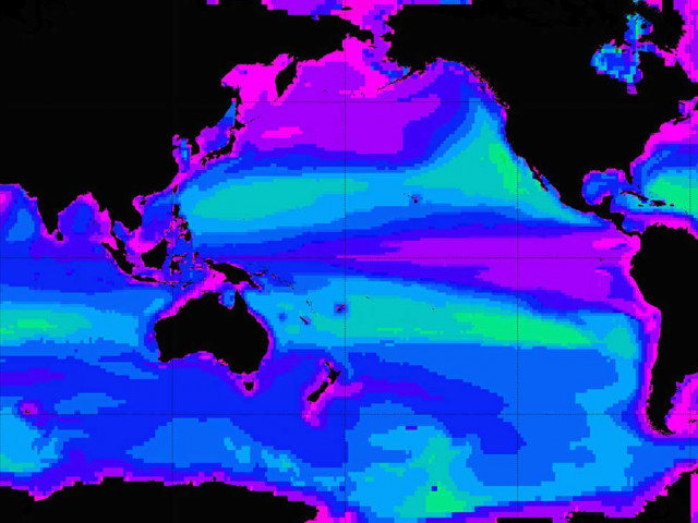 Can hungry zooplankton shape the distribution of marine algae?