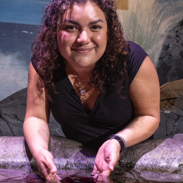 Ivanna Arrizon Elizarraras